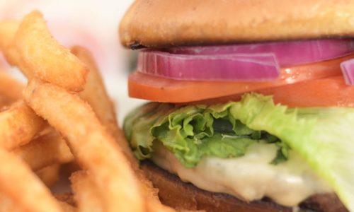 imgi_34_629a19_0efd5f25980c4aae8a272a25f92793d2~mv2